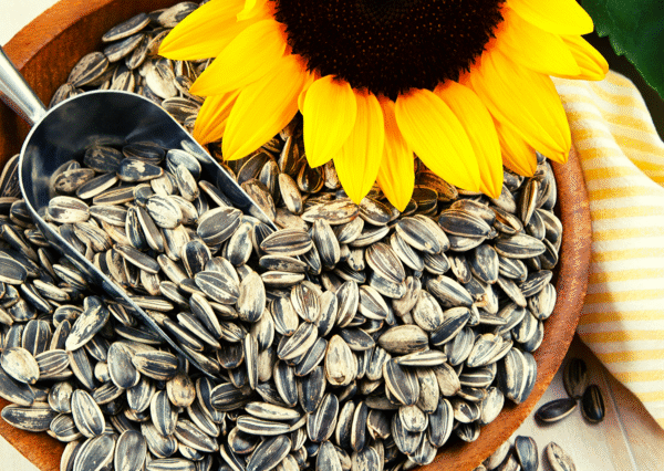 Sunflower seeds